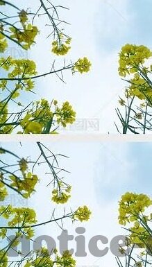 乐鱼体育安全嘛-乐鱼体育的安全性考量