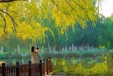 抢庄牛牛外挂是真的吗-抢庄牛牛外挂，真假难辨的灰色地带