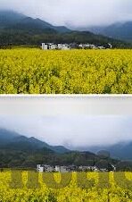 新浪足球彩票比分-新浪足球彩票比分，一场数据与激情的碰撞盛宴