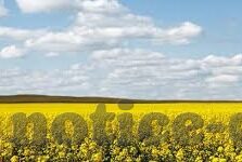 炸金花棋牌薇詍81-96-炸金花棋牌薇詍81-96，一场智慧与运气的博弈
