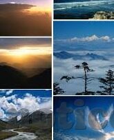 足球比分左右排列-足球比分左右排列，赛场风云的数字镜像